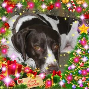 Meet your Posher, Teri